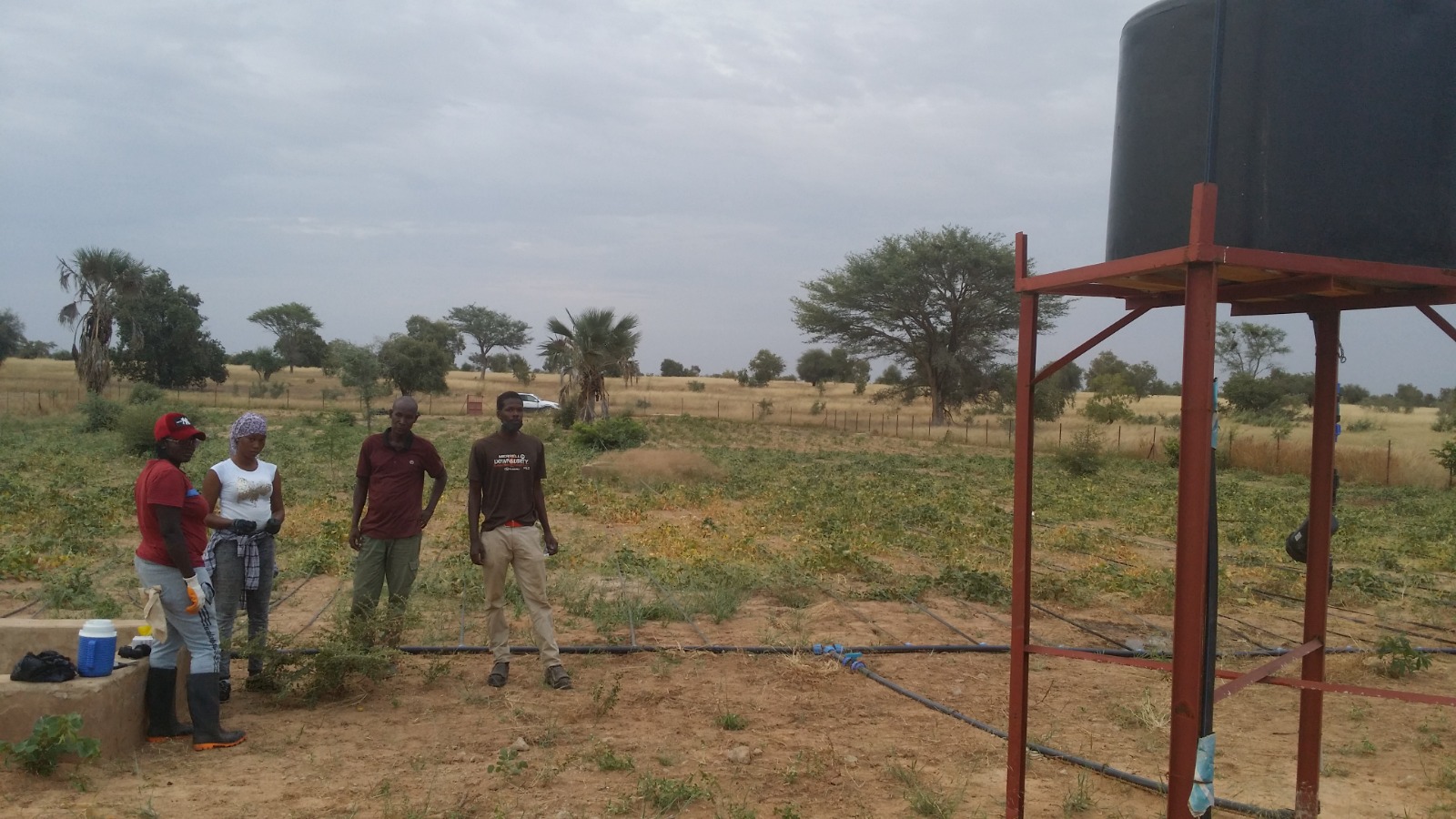 WhatsApp Image 2025-10-02 at 19.48.03 (1)