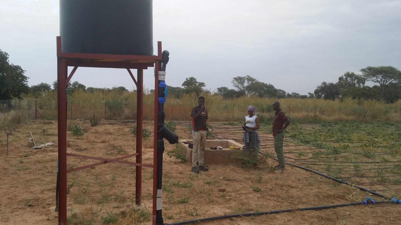 WhatsApp Image 2025-10-08 at 15.48.30